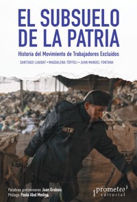 El subsuelo de la patria - Santiago Liaudat - E-Book