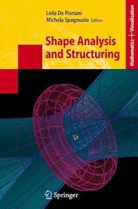 Shape Analysis and Structuring -  - E-Book