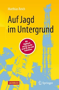 Auf Jagd im Untergrund - Matthias Reich - E-Book