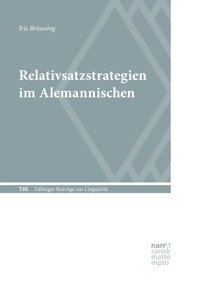 Relativsatzstrategien im Alemannischen - Iris Bräuning - E-Book