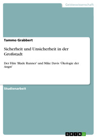 Sicherheit und Unsicherheit in der Großstadt - Tammo Grabbert - E-Book