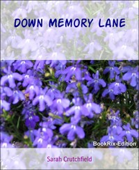Down Memory Lane - Sarah Crutchfield - E-Book