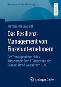 Das Resilienz-Management von Einzelunternehmern - Matthias Baumgartl - E-Book