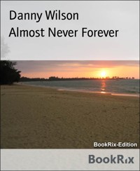 Almost Never Forever - Danny Wilson - E-Book
