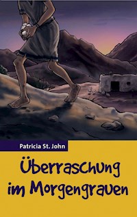 Überraschung im Morgengrauen - Patricia St John - E-Book