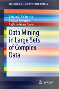 Data Mining in Large Sets of Complex Data - Robson Leonardo Ferreira Cordeiro - E-Book