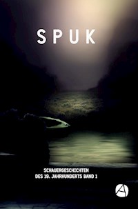 SPUK. Schauergeschichten des 19. Jahrhunderts. Band 1 - E.T.A. Hoffmann - E-Book