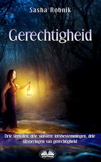 Gerechtigheid - Sasha Robnik - E-Book