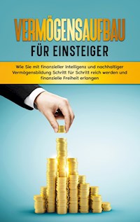 Vermögensaufbau für Einsteiger - Matthias Kopischke - E-Book
