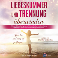 Liebeskummer und Trennung überwinden - Lass los und fang an zu fliegen! (ungekürzt) - Eva Fischer - Hörbuch