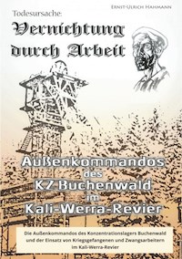 Todesursache - Vernichtung durch Arbeit - Hahmann Ernst-Ulrich - E-Book