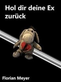 Hol dir deine Ex zurück - Florian Meyer - E-Book