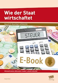 Wie der Staat wirtschaftet - Katja Allani - E-Book