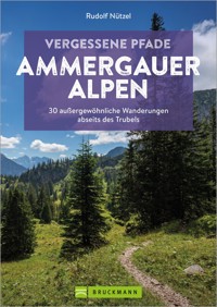 Vergessene Pfade Ammergauer Alpen - Rudolf Nützel - E-Book