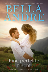 Eine perfekte Nacht - Bella Andre - E-Book