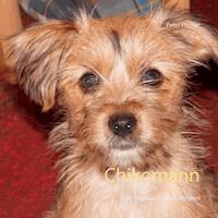 Chikomann - Peter S. Fischer - E-Book