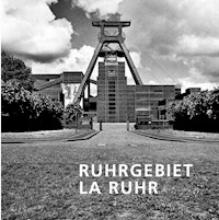 Ruhrgebiet - Andreas Winkler - E-Book