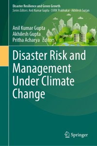 Disaster Risk and Management Under Climate Change -  - E-Book