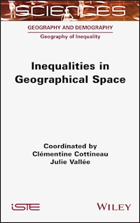 Inequalities in Geographical Space - Clementine Cottineau - E-Book