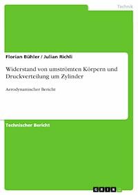 Widerstand von umströmten Körpern und Druckverteilung um Zylinder - Florian Bühler - E-Book