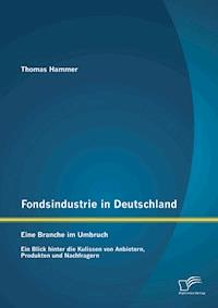 Fondsindustrie in Deutschland – Eine Branche im Umbruch: Ein Blick hinter die Kulissen von Anbietern, Produkten und Nachfragern - Thomas Hammer - E-Book