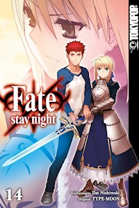 Fate/stay night - Einzelband 14 - Dat NISHIWAKI - E-Book