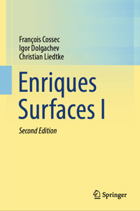 Enriques Surfaces I - François Cossec - E-Book