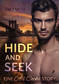 Hide and Seek - TM Smith - E-Book