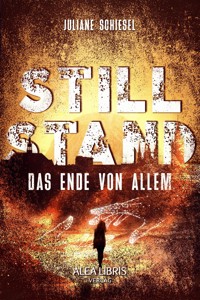 Stillstand - Juliane Schiesel - E-Book