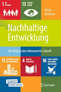 Nachhaltige Entwicklung - Ulrich Holzbaur - E-Book