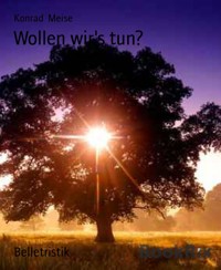 Wollen wir's tun? - Konrad Meise - E-Book