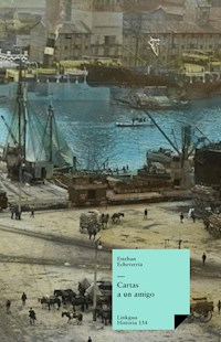 Cartas a un amigo - Esteban Echeverría - E-Book