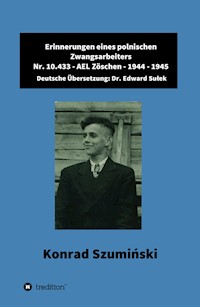 Erinnerungen eines polnischen Zwangsarbeiters - Dr. Edward Sulek - E-Book
