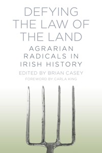 Defying the Law of the Land - Brian Casey - E-Book