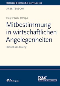 Mitbestimmung in wirtschaftlichen Angelegenheiten - Holger Dahl - E-Book