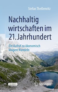 Nachhaltig wirtschaften im 21. Jahrhundert - Stefan Theßenvitz - E-Book