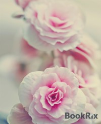 Nur um geliebt zu werden - Lisa Hering - E-Book