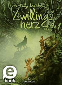 Zwillingsherz - Kelly Barnhill - E-Book