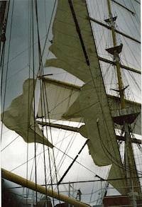 ELIZABETHA - Wolf-Ulrich Cropp - E-Book