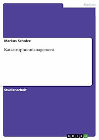 Katastrophenmanagement - Markus Scholze - E-Book