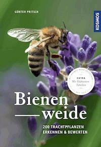 Bienenweide - Günter Pritsch - E-Book