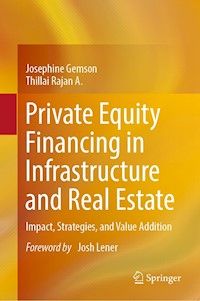 Private Equity Financing in Infrastructure and Real Estate - Josephine Gemson - E-Book