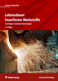 Lebensdauer feuerfester Werkstoffe - Jürgen Pötschke - E-Book