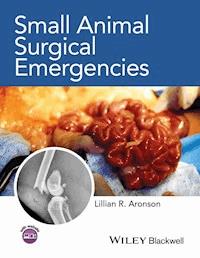 Small Animal Surgical Emergencies -  - E-Book