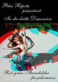 In die dritte Dimension-1 - Peter Ripota - E-Book