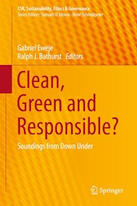 Clean, Green and Responsible? - - E-Book