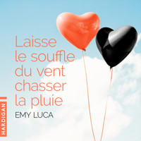 Laisse le souffle du vent chasser la pluie - Emy Luca - Hörbuch