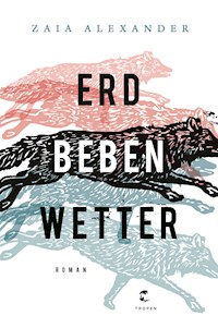 Erdbebenwetter - Zaia Alexander - E-Book