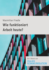 Wie funktioniert Arbeit heute? - Maximilian Friedl - E-Book