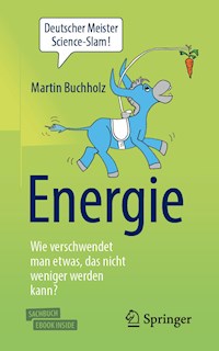 Energie – Wie verschwendet man etwas, das nicht weniger werden kann? - Buchholz Martin - E-Book